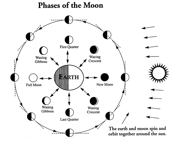 Phases of the Moon Chart.
