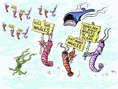 Plankton are demonstrating against planktivorous whales.